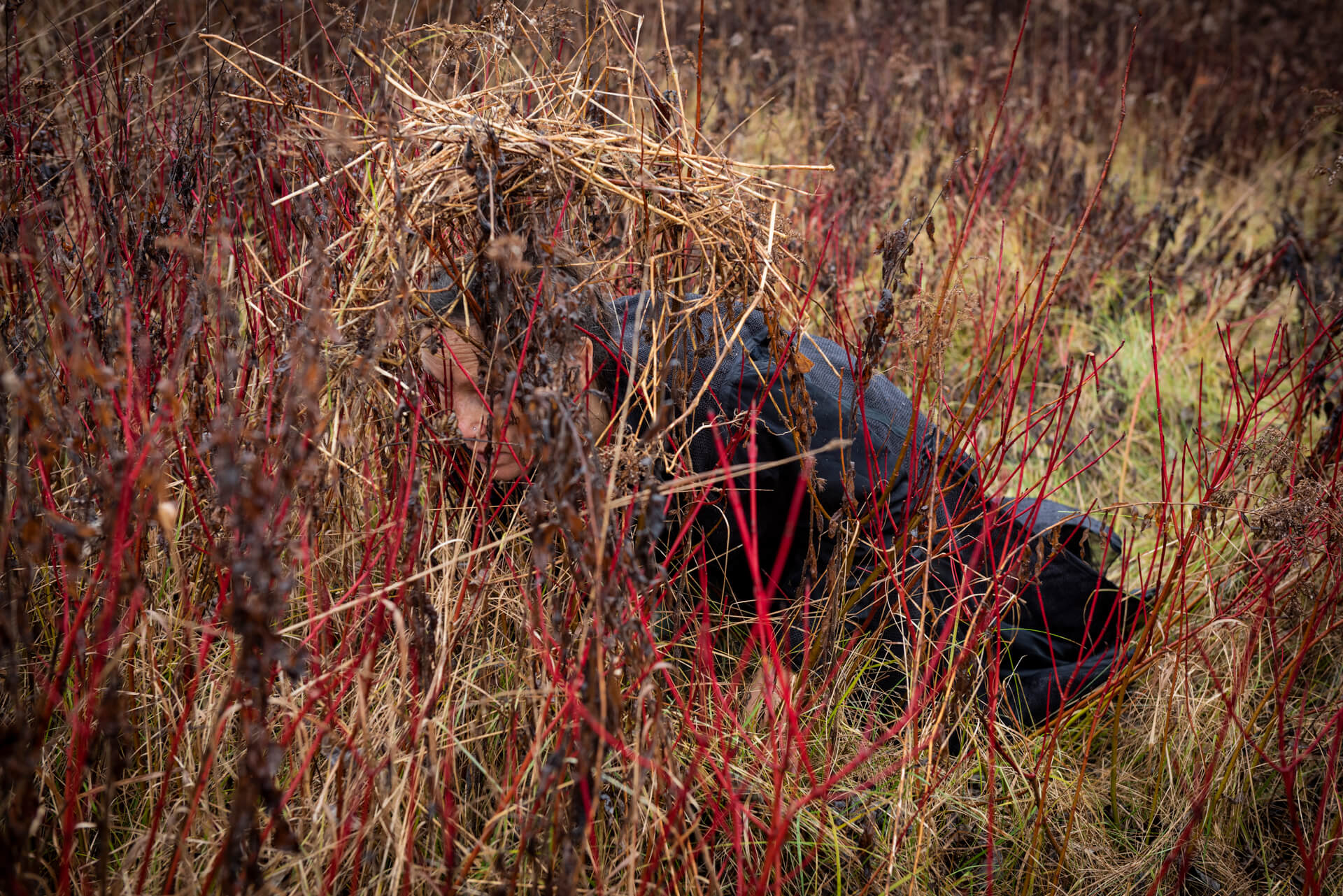 hiding among long grass