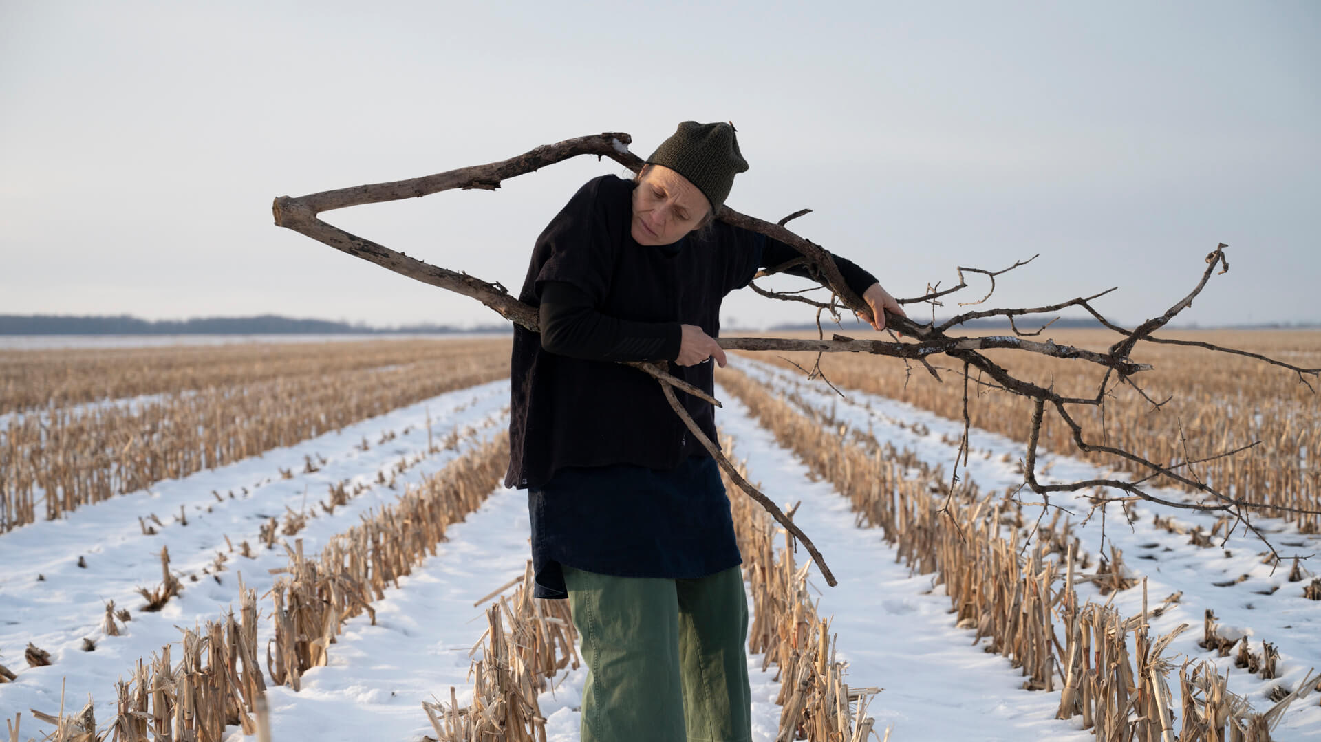 stuck in stick in wheat field