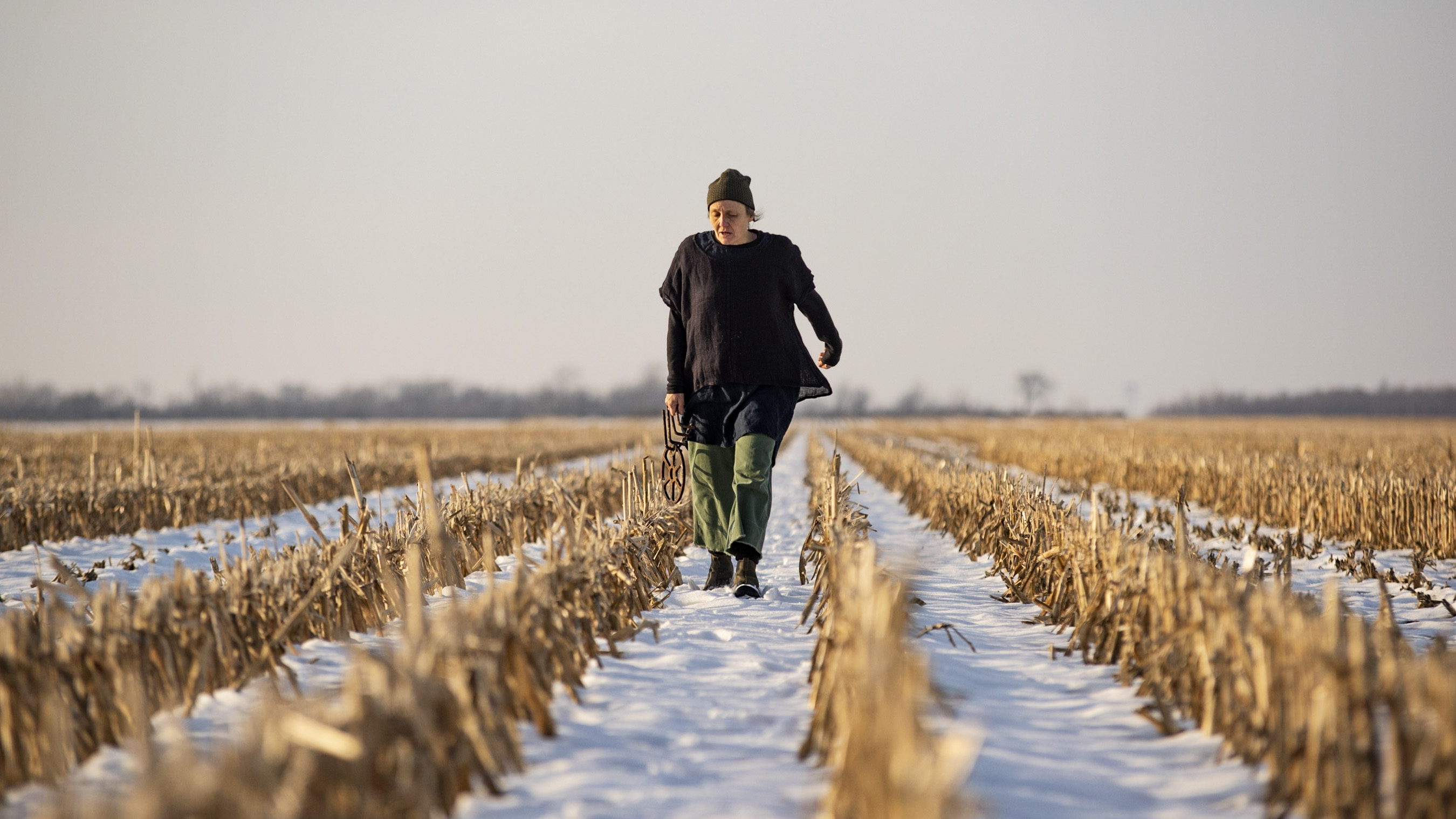 walking through wheat field